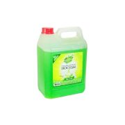 СЧ средство для посуды 5 л. Яблоко канистра