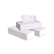 Салфетки косметические, 2 слоя,100 листов в картонной коробке, целлюлоза (СК.05)